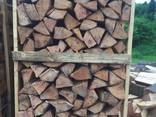 Beech Firewood - photo 3