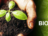 Biohumus / Vermicompost / Natural fertilizer - фото 1