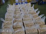 Cashew Nuts from Vietnam - photo 3