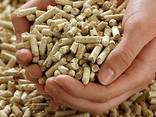 Premium Wood Pellets For Sale at Great Prices - фото 1