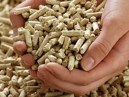 Cheap Wood Pellets In Bulgaria