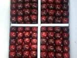 Cherry (air delivery) Черешня - фото 2