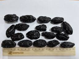 Чернослив «Молдавия» с косточкой