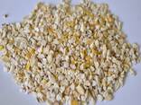 Corn germ - photo 1