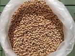 Древесные пеллеты (wood pellets) - фото 1