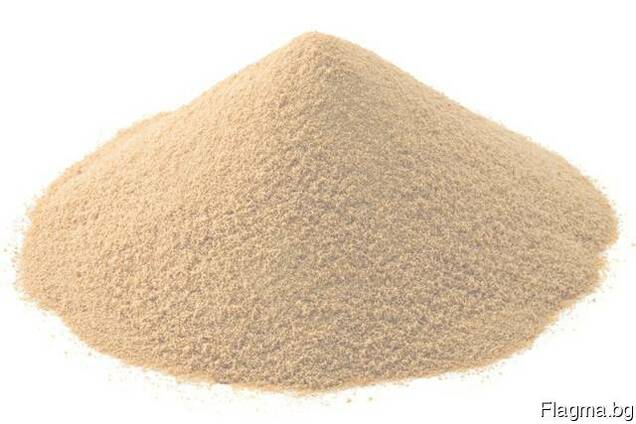 Dry brewer's yeast