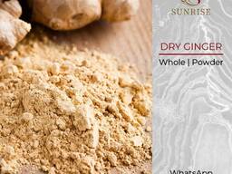 Dry Whole Ginger from Vietnam