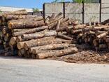 FIRE WOOD 100% BEECH and OAK One BIG BAG 90X90X90 - 1m3 95€ - фото 2