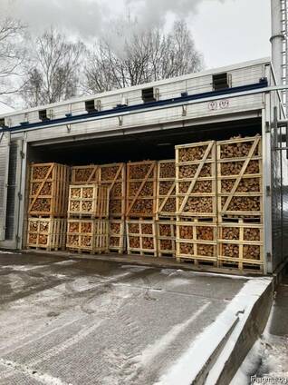 Firewood (mix, birch, oak, hornbeam) / Дрова