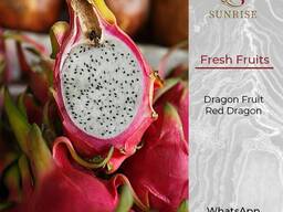 Fresh Dragon Fruit from Vietnam