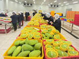Fresh Mango from Vietnam - photo 3