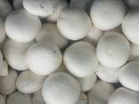 Fresh quality champignons from Poland - фото 2