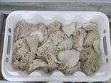 Frozen beef omasum - фото 2