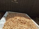 Горивни пелети | Твърда дървесина | Търговия на едро - фото 2