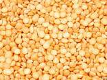 Горох желтый колотый (половинка) - фото 1