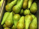 Груша из Польши - фото 3