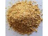 High protein soybean meal for animal feed/ Non Gmo Yellow Corn for animal feed for sale - фото 3