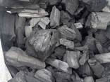 Holzkohle / Charcoal / Древесный уголь - фото 1