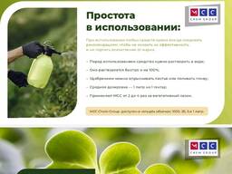 Хуминови торове