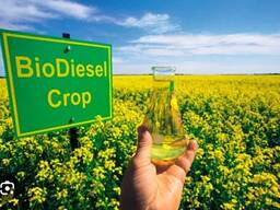 Куплю масло подсолнечное нерафинированое, и техническое