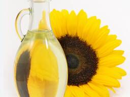 Куплю масло подсолнечное кукурузное, рапсовое рафинированое и не рафинированое