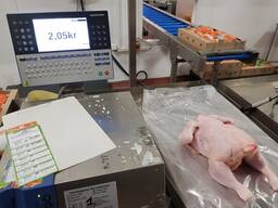 Курица Бройлер Суповая