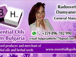 Lavender oil Organic