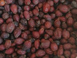 Лекарственные растения (сырье)