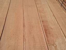 Лиственница сибирская