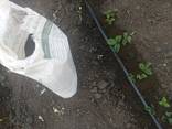 Organic fertilizers Chicken compost Good Yield - фото 3