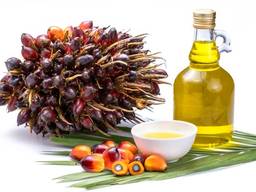 Пальмовое масло