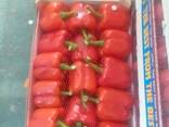 Перец KALIFORNIYA RED - photo 3