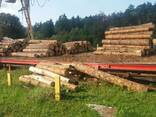 Пиломатериал, дървета, брус строительный лес - фото 6