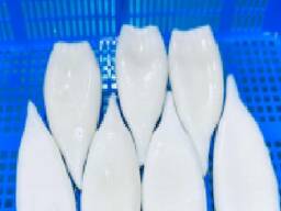 Предлагаем мороженные морепродукты в Болгарию от завода из Китая