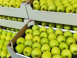 Продам яблоки с Польши