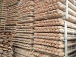 Продам колья окорованные и оцилиндрованные - фото 2