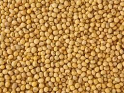 Продавам соя с доставка до клиента