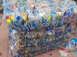 Pure and Natural Pet Bottle Scrap - фото 1