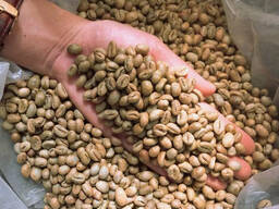 Roasted Arabica Green Coffee Bean
