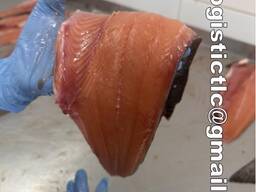 Салака, Скумбрия, Ставрида, Форель, Хек, Селедь, Лосось, Кижуч, Икра, Минтай, Килька