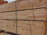 Sell wood/timber/ birch plywood - photo 1