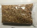 Семечки подсолнуха из Украины - фото 3