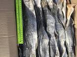 Stockfisch Рыба вяленая - фото 3