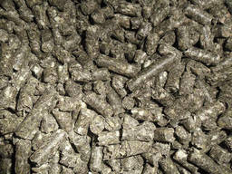 Sunflower meal / Oilcake