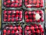 Sweet cherries - фото 1