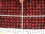 Sweet cherries - фото 3