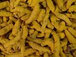 Turmeric from Vietnam - фото 1