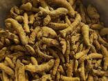 Turmeric from Vietnam - фото 3
