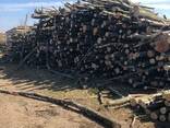 Уголь древесный - фото 2