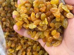 Виноград сушеный желтый (Golden) 2 сорт